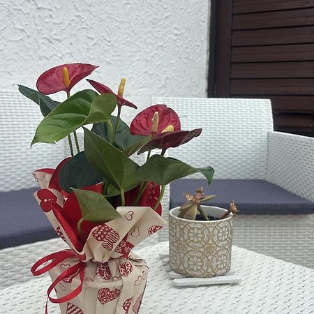 Appartamento Giardini Naxos Butterflies Home Schiso Esterno foto